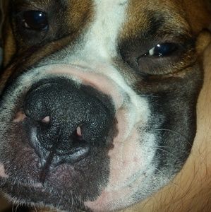 Meet your Posher, Scott